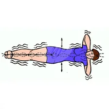 Массажер для спины GESS Healthy Spine-080
