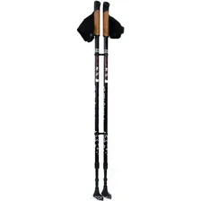 Палки для скандинавской ходьбы Gess Basic Walker, телескопические, 2 секции, цвет: черный, длина 80-135 см, 2 шт