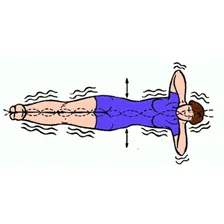 Тренажер для спины Healthy Spine GESS-080